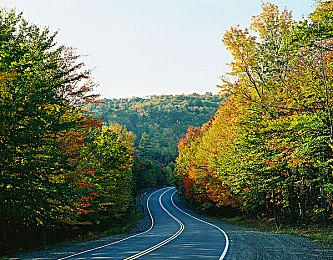 调查显示Switch《马力欧派对 超级巨星》将推出DLC